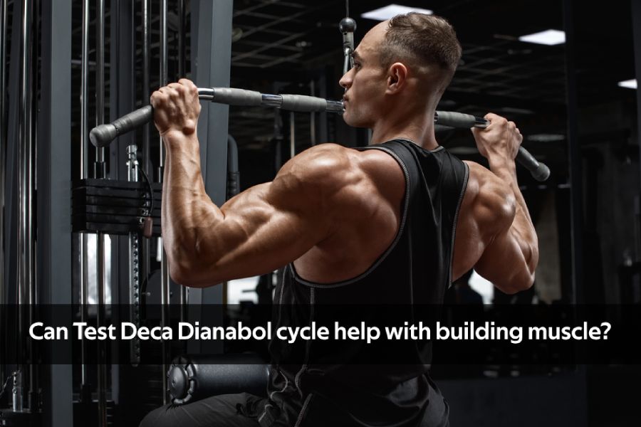 test deca dianabol cycle