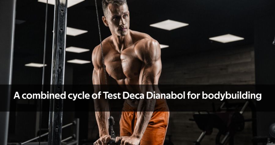 test deca dianabol cycle